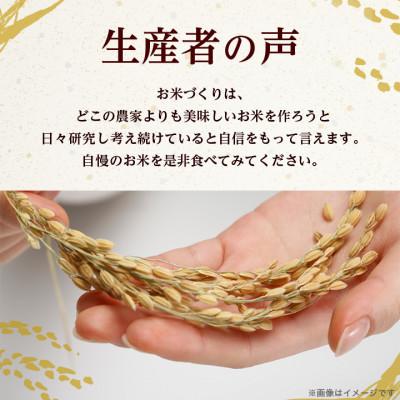 ふるさと納税 河内町 【令和8年産】特別栽培米 田仲のこしひかり(精米)10kg(5kg×2袋)　茨城県 河内町 |  | 01