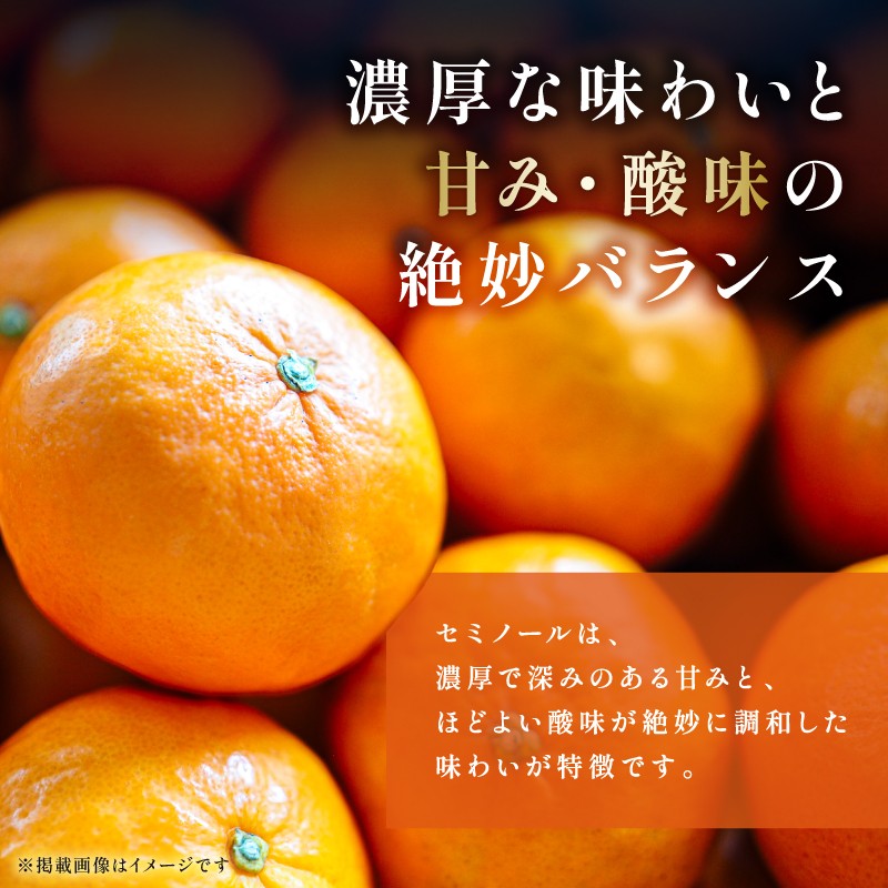 【2026年発送 先行予約品】