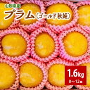 【ふるさと納税】【数量限定】 プラム（ゴールド秋姫）1.6kg 秀品 果物 フルーツ 秋姫 すもも 黄色 山形 産地直送 お取り寄せ プレゼント ギフト 贈答品 送料無料 山形県 上山市 0106-2507