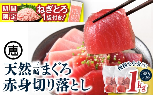 【期間限定 生活応援 ネギトロ付き】天然三崎まぐろ 赤身 切落し 1kg（500g×2袋）【5月お届け】　M020-014-01-05-cp