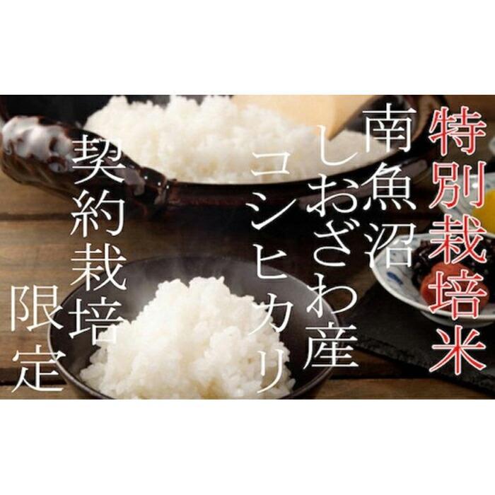 【ふるさと納税】【令和7年産】米 定期便 コシヒカリ 南魚沼しおざわ産 6kg ( 2kg × 3ヶ月 ) 特別栽培【2025年10月上旬より順次発送予定】 | お米 こめ 白米 コシヒカリ 食品 人気 おすすめ 送料無料 魚沼 南魚沼 南魚沼市 新潟県産 新潟県