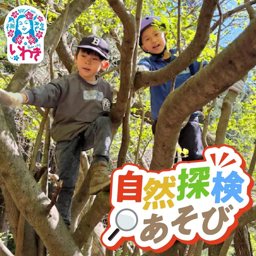 こびとの森自然探検あそび　小学生1名体験権 | 自然体験 アウトドア体験型 ファミリー向け 子ども冒険 森の探検 ファンタジー体験 ネイチャーゲーム こびとの家 秘密の宝箱 童話の世界 自然学習 非日常体験 丸太転がし 小刀体験 森の役割 体験ギフト | KM001