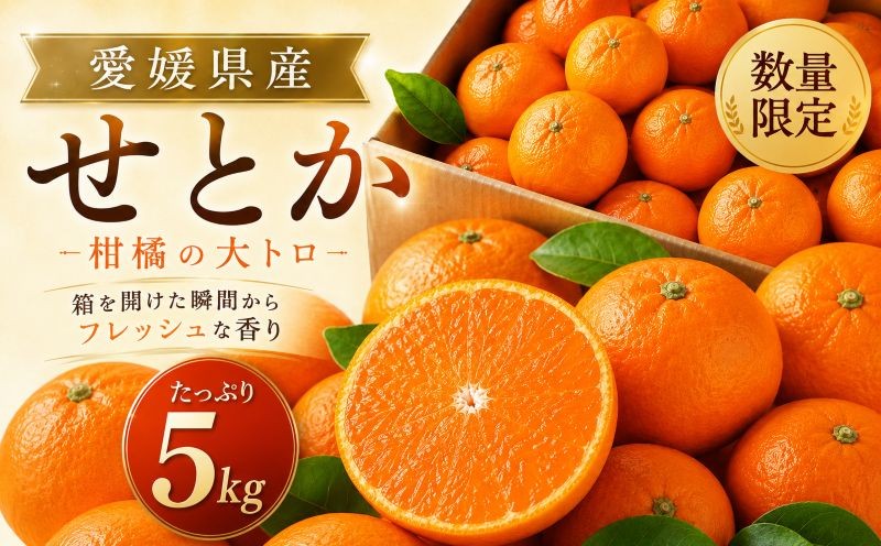 
                  せとか 約5kg 家庭用 【2027年2月中旬頃から順次発送】 | みかん 愛媛 セトカ 愛媛三大高級柑橘 ( 紅まどんな 甘平 せとか ) のひとつ 柑橘 ミカン かんきつ mikan フルーツ くだもの 果実 カンキツ 果物 ふるーつ おやつ 蜜柑 おれんじ オレンジ orange デザート グルメ お取り寄せ 送料無料 松山市 愛媛県
                
