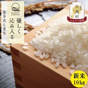 〈 新米先行受付〉【令和6年産】秋田県産 あきたこまち 胚芽米 10kg(5kg×2袋)【配送不可地域：離島・沖縄県】【1519282】