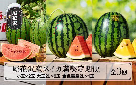 
            先行予約 尾花沢産スイカ満喫定期便 金色羅皇 全3回 7月中旬～8月中旬頃発送 2025年産 令和7年産 kb-tksux
          