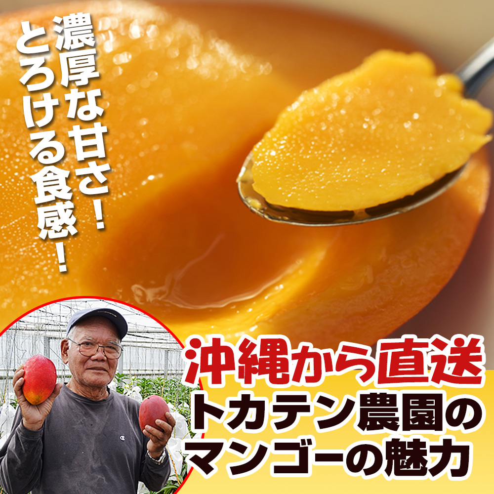 【2025年発送】濃厚な甘さ！とろける食感！沖縄県産マンゴー1kg_イメージ3
