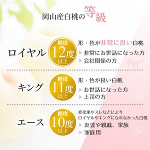 桃 2025年 先行予約 岡山 白桃 ロイヤル 約2kg 5～7玉入り もも モモ 岡山県産 国産 フルーツ 果物 ギフト 橋田商店
