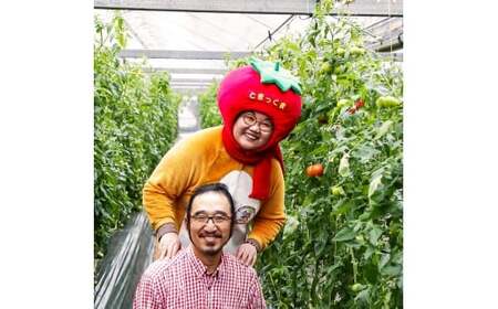 フルーツトマト 約1.6kg(約800g×2) 24～32玉入り 糖度 8度以上 フルーツトマト ふるーつとまと とまと トマト 甘い 濃厚 美味しい 箱入り 野菜 料理 サラダ お取り寄せグルメ 高