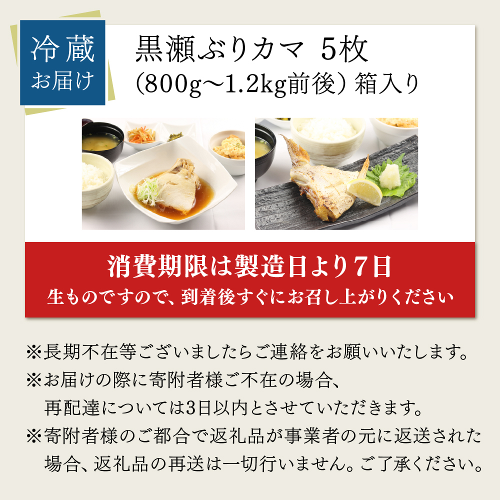 【5月発送】活じめ！黒瀬ぶりカマ（5枚入）（800g～1.2kg前後）
