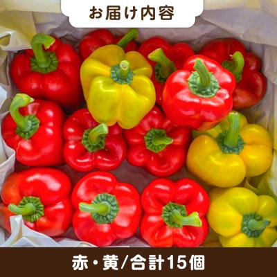 ふるさと納税 糸島市 糸島産 肉厚 パプリカ 15個 福岡県 糸島市 / シーブ [AHC032] |  | 01