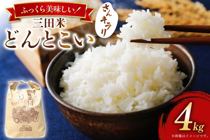 
            米 令和6年 どんとこい (さんキラリ) 4kg 精米  [パスカルさんだ 兵庫県 三田市 3d28bae660028] こめ コメ お米 おこめ オコメ 精米 白米 もちもち つやつや ご飯 ごはん ふるさと納税 ふるさと 人気 おすすめ 送料無料
          