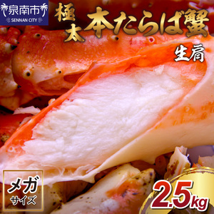 【1肩2.5kgの超極太10L以上メガサイズ】本たらば蟹 生肩 2.5kg 1肩 約2.5kg 本タラバ シュリンク 生 蟹の丸山 たらば蟹 生【087B-023】