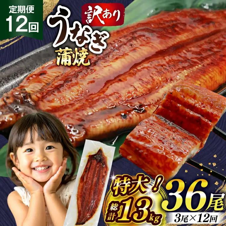 【定期便12回】うなぎ 蒲焼 特大 訳あり 3尾 うなぎ