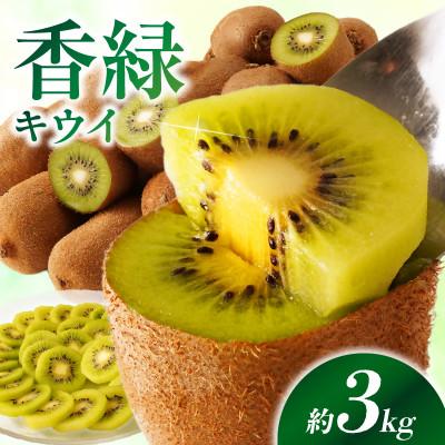 ふるさと納税 三木町 【先行受付2026年】香緑(こうりょく)キウイ　約3kg