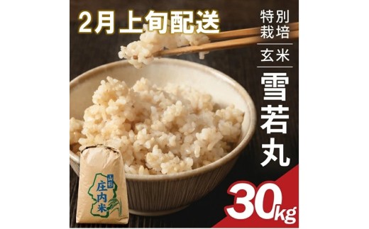 2月上旬配送／令和8年産【玄米】特別栽培米 雪若丸　30kg×1袋〈太ももの会〉 FU SE0635