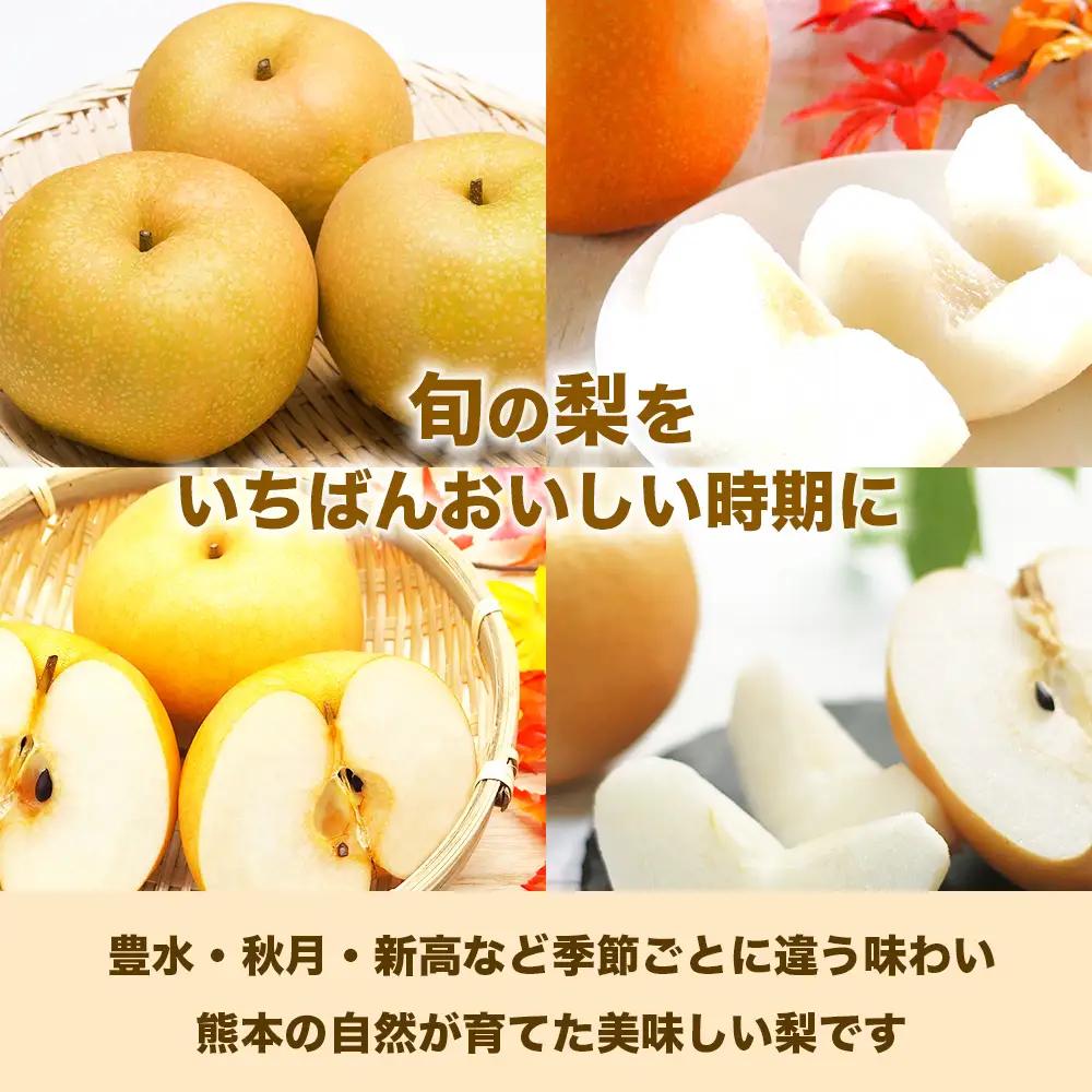 先行予約 旬の梨 品種おまかせ 約3㎏（4～12玉）【2026年8月上旬～2026年10月中旬配送予定】
