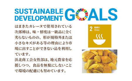 はまきたカレーヌ 5個入り 惣菜 カレー パウチ レトルトカレー 簡易包装 温めるだけ 簡単調理 時短 レンジ 湯煎 常温保存 非常食 女性部カレー 浜北産次郎柿 静岡 浜松市