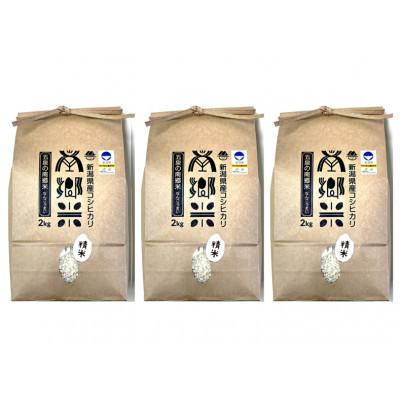 ふるさと納税 五泉市 【毎月定期便】《6回定期便》特別栽培米コシヒカリ100%「南郷米」精米 6kg(2kg×3袋)全6回 |  | 01