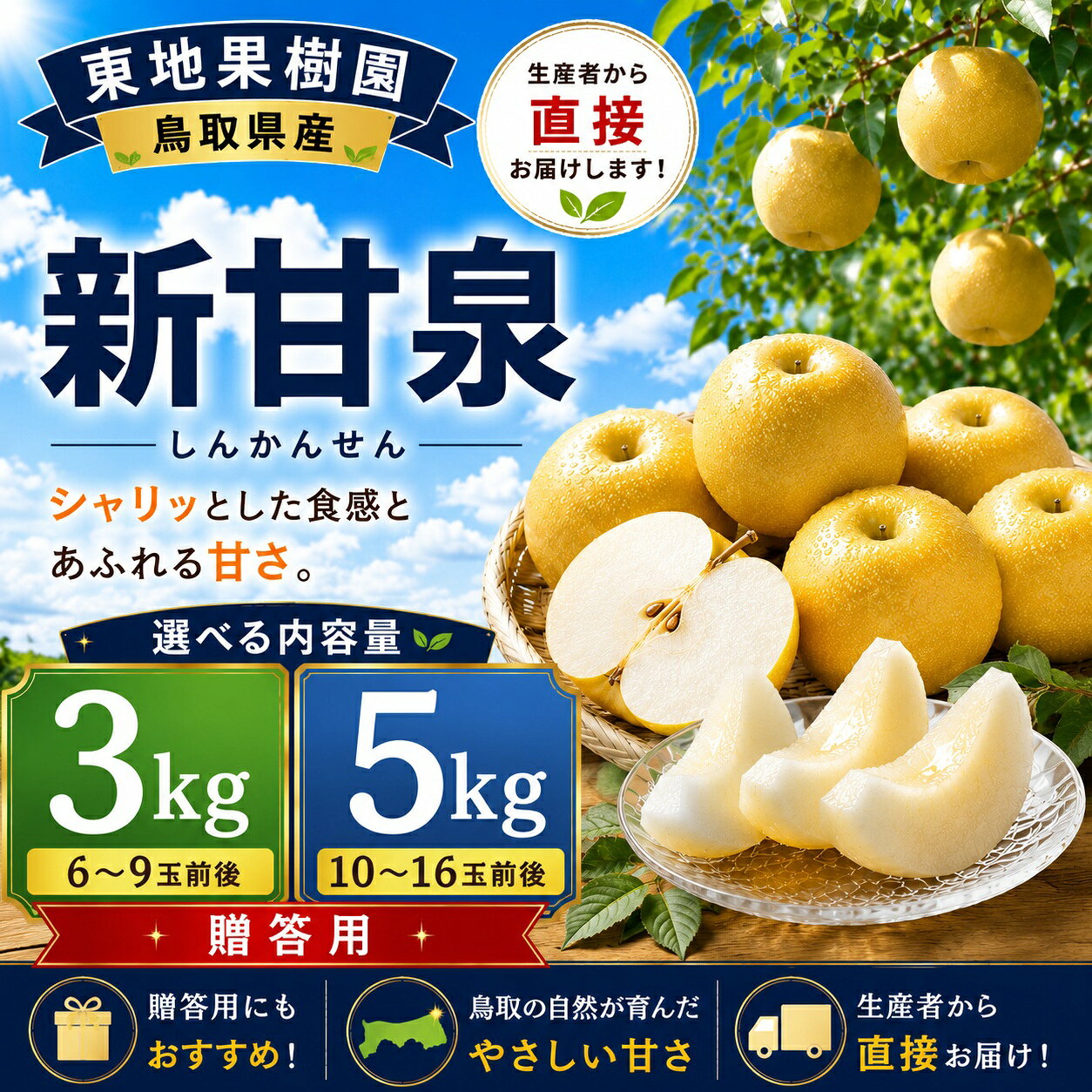【ふるさと納税】【期間限定】梨 なし 新甘泉 3kg 5kg 鳥取県 名産 しんかんせん 果物 フルーツ 特産品 ※8月下旬～9月上旬頃順次発送 選べる 内容量 オリジナル ブランド 先行予約 直送 新鮮 人気 定番 おすすめ 送料無料　進物 贈答 東地果樹園