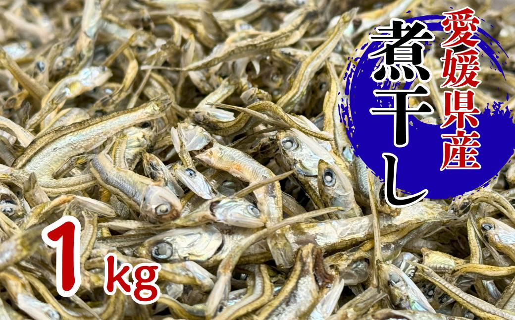 
                  伊予煮干 いりこ 1kg 【10月以降発送】 伊予灘産 瀬戸内海 出汁 料理 おやつ カルシウム 健康 サクサク食感 海の幸 海産物 乾物 魚介類 おつまみ 保存食 特産品 愛媛 伊予市｜B421
                