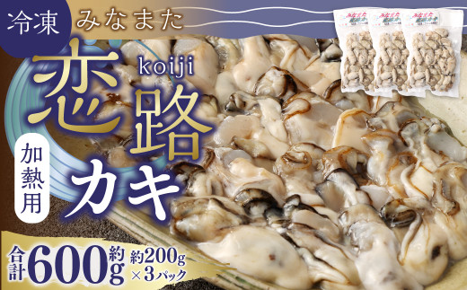 
加熱用 冷凍 みなまた 恋路カキ 600g (200g×3P) 牡蠣 海鮮 海産物 水俣市
