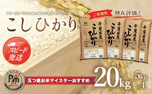 令和7年産 2年連続特A評価!千葉県産コシヒカリ20kg（5kg×4袋） お米 20kg 千葉県産 大網白里市 コシヒカリ 米 精米 こめ 送料無料 E003
