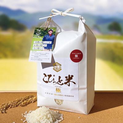 ふるさと納税 北杜市 きわだつ大粒!【令和7年産】こぴっと米【極】白米・2kg　特別栽培米
