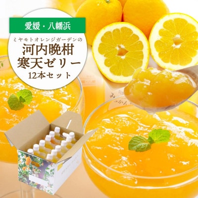 ゲル化剤・pH調整剤不使用!愛媛産 河内晩柑寒天ゼリー 12本セット【D25−223】【1628741】