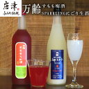 【ふるさと納税】万齢 すもも梅酒 とSPARKLINGにごり生酒セット 720ml各1本(合計2本) 唐津産すもも使用果肉入り 精米歩合50%の純米吟醸でやや辛口 女性に人気 「2024年 令和6年」