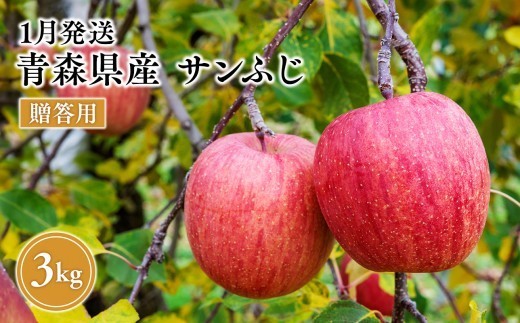 
                  2027年1月発送　贈答用サンふじ 約3kg【原田農園】 
                