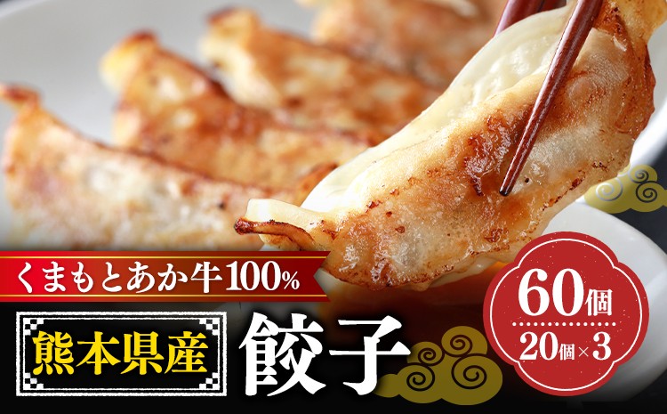 
                  熊本県産 GI認証取得 くまもとあか牛 100% 餃子 60個 20個入り × 3 くまふる《45日以内に出荷予定(土日祝除く)》熊本県 長洲町 肉 牛肉 あか牛 赤牛 餃子 熊本県産 国産
                