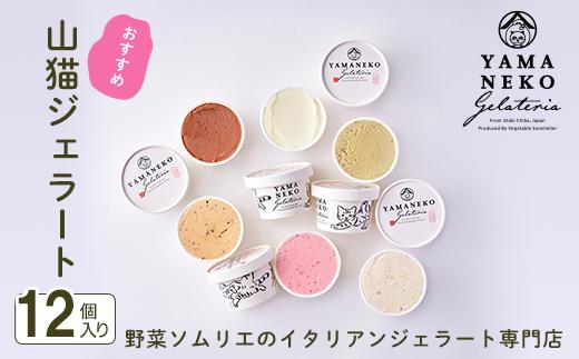 W02401 野菜ソムリエのイタリアンジェラート専門店＜山猫ジェラート＞おすすめ１２個セット