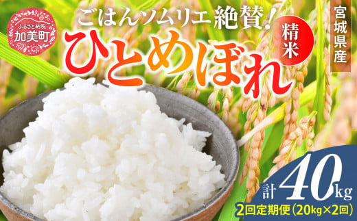 【2回定期便】新米 精米 令和6年産 宮城県産ひとめぼれ 計40kg (10kg×2袋)×2回 [菅原商店 宮城県 加美町 ]  | sg00001-r6-20kg-2