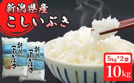 16-I101新潟県胎内市産こしいぶき10kg（5kg×2袋）