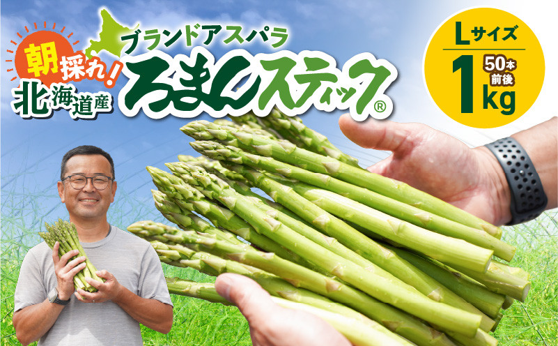 
            ロマンス農園 ろまんスティック Lサイズ 1kg　T049-001
          