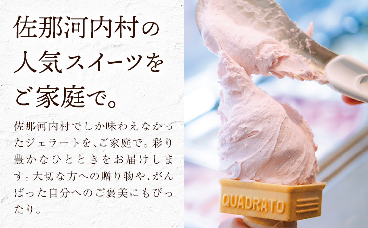 ジェラート アイス スイーツ SANAGOCHI GELATO 12個 株式会社クリスティーヌ 《30日以内に出荷(土日祝除く)》 徳島県 佐那河内村 お菓子 ご褒美 プレゼント いちご チョコ ピス