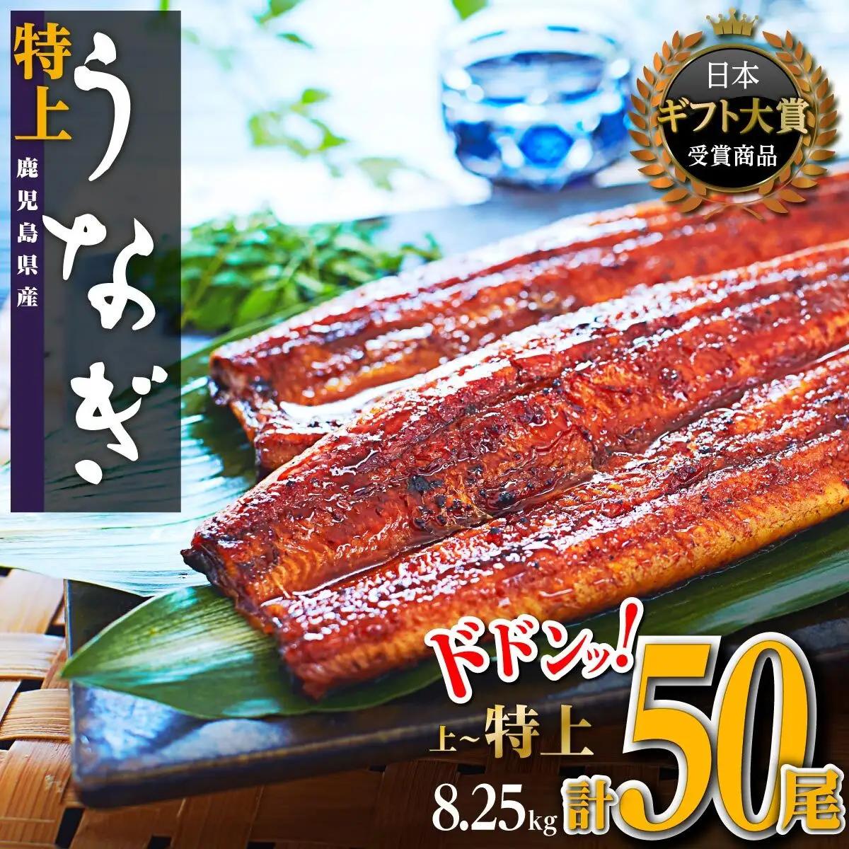 どーんとお届け！特大50尾　鹿児島県産うなぎ 長蒲焼 | 国産 うなぎ 鰻 蒲焼 かばやき 魚 魚介 魚貝 海鮮 うな重 ひつまぶし ギフト 人気 おすすめ 土用丑の日 鹿児島県 大崎町 大隅半島
