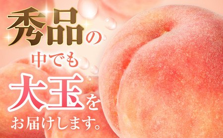 【2025年5月下旬より順次発送予定】 先行予約 産地直送 桃 化粧箱入り 約1.0kg　モモ ピーチ くだもの 果物 フルーツ 甘熟 果実 果汁 広川町 / JAふくおか八女農産物直売所どろや[AF
