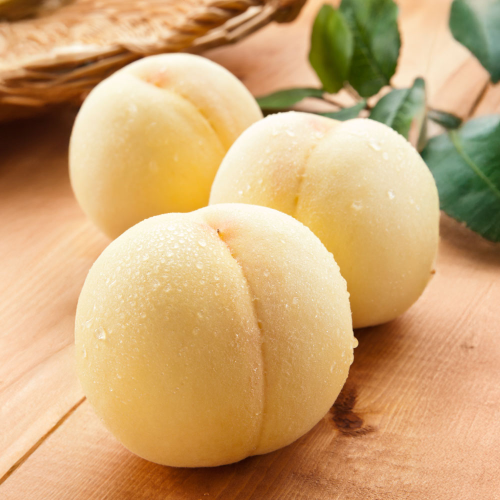 【ふるさと納税】桃 先行予約 白桃 6玉（1.6kg以上） 化粧箱入り もも モモ 岡山県産 国産 フルーツ 果物 セット ギフト 岡山県 倉敷市 送料無料 【2026年7月上旬～8月上旬迄順次発送予定】