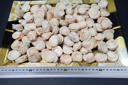 ボイル済ベビーほたて1kg×1P(計80～100玉)【加熱調理用】 G-14016