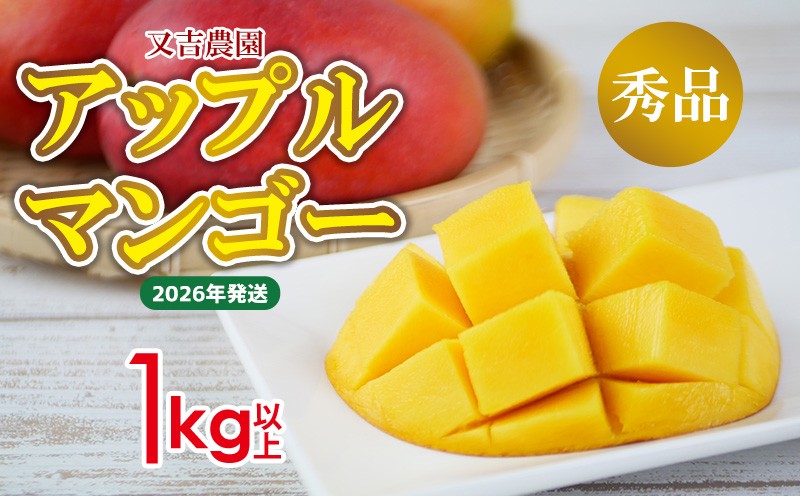 
            【2026年発送先行予約】沖縄県【又吉農園】　秀品アップルマンゴー　1kg以上 完熟 マンゴー アップル 南国 沖縄 国産 フルーツ くだもの 果物 果実 産地直送 贅沢 濃厚 スイーツ デザート 旬の果物 贈答用 ギフト 贈り物 プレゼント
          