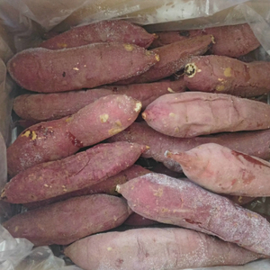 【数量限定】紅はるか焼き芋S～SSサイズ２kg箱【焼いも 焼芋 いも やきいも さつまいも 蜜芋 冷凍 紅はるか 水戸市 茨城県 10000円以内 1万円以内】（KE-1）