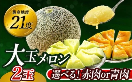 メロン 2026 【先行予約】 発送5月上旬～ めろん 最高糖度21度！奇跡の クインシーメロン 2玉 赤肉 人気 おすすめ クインシー 甘い 濃厚 高糖度 自家栽培 メロン 贈答用 贈り物 プレゼント  送料無料 片岡農園 クレストファーム 茨城県 鉾田市