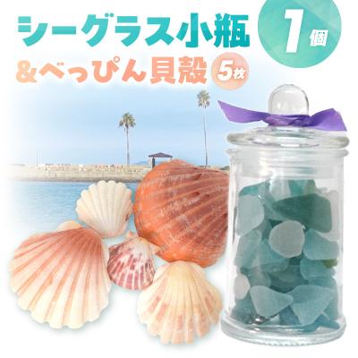 ふるさと納税 天草市 シーグラスとべっぴん貝殻のセット_S183-004