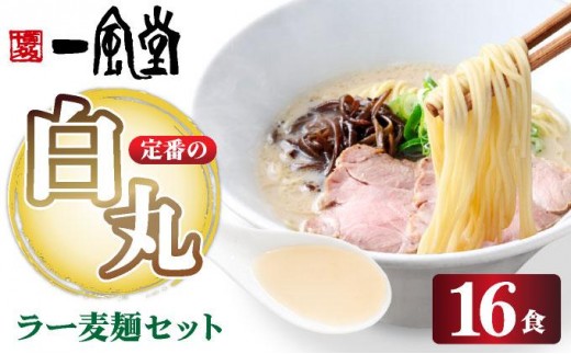 福岡県産 ラー麦使用 現地でたべたい！ 「一風堂」白丸 ラー麦麺セット16食（8食入り×2セット）