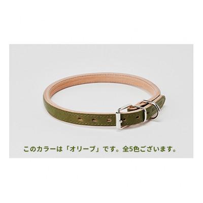 ふるさと納税 姫路市 good collar 7号 オリーブ[53657048]