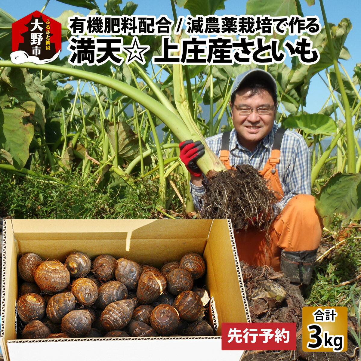 【ふるさと納税】【先行予約】満天☆上庄産さといも3kg 日本一の味をめざし、有機肥料配合、減農薬栽培の「独自栽培」で作る里芋 【発送月が選べる11～3月】【里芋・上庄里芋・減農薬】 [A-005007]