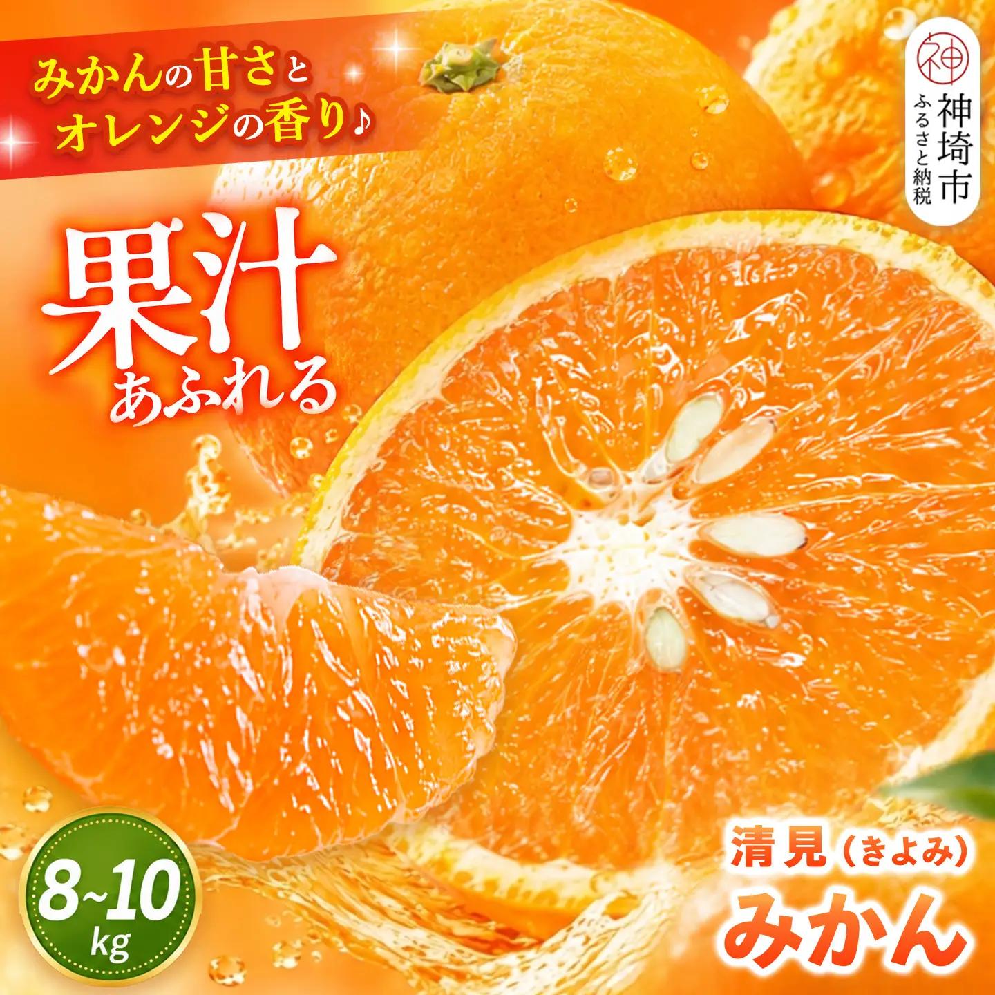 【2027年3月中旬より発送開始】清見(きよみ)みかん 8kg～10kg(H116139)