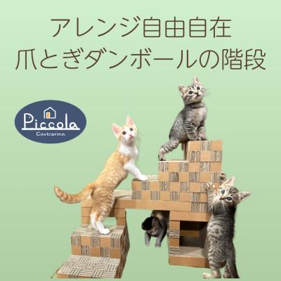 ふるさと納税 館山市 爪とぎできる子猫用ステップ「カリカリーナ ピッコラ SCALATA」