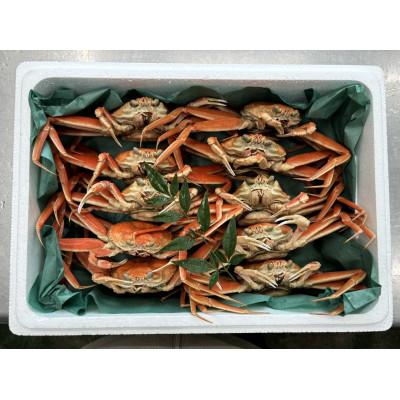 ふるさと納税 加賀市 【冷蔵発送】朝茹で香箱ガニ(ズワイガニのメス)姿10杯セット　11月上旬以降発送 |  | 01